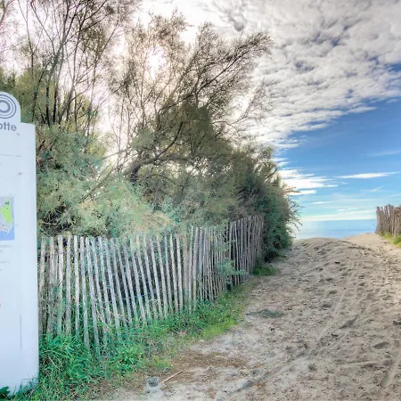 Les Terrasses De La Mer-13 By Interhome Apartment *